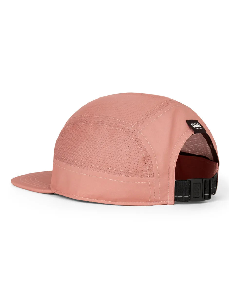 GOCap-Comp-Century-RoseDawn